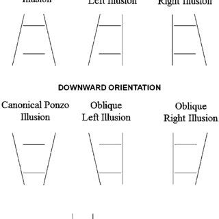 (PDF) Neglect's perspective on the Ponzo illusion