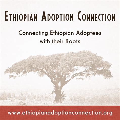 Hope for Ethiopian Families; An Ethiopian Adoption Search Registry ...