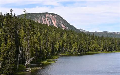 16 Best Fishing Lakes in Minnesota - Lake Access