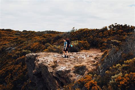 Bushwalking tips for absolute beginners - Pioneer Walks