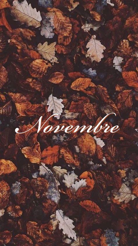 November Wallpaper - KoLPaPer - Awesome Free HD Wallpapers