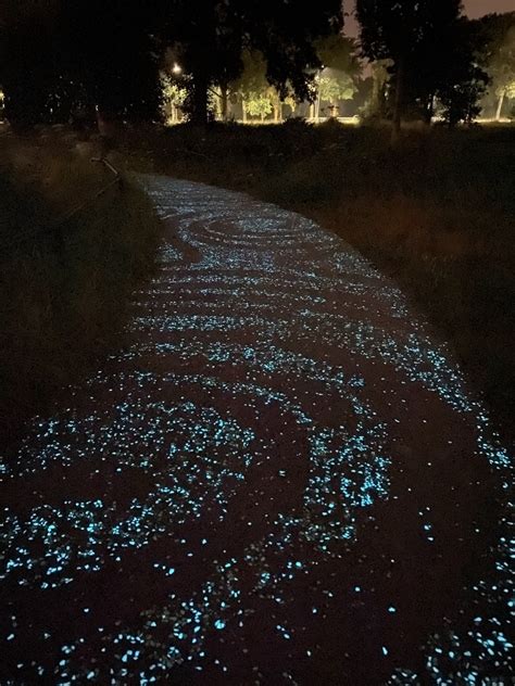 The Van Gogh - Roosegaarde Bike Path - The Well Traveled Road