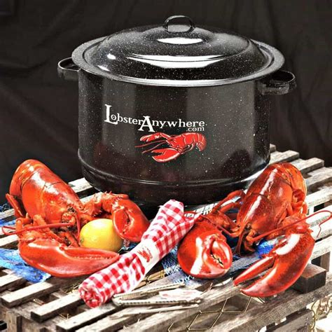 Classic Lobster Pot | LobsterAnywhere.com | Reviews on Judge.me