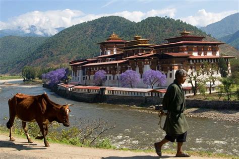 Tour Nepal And Bhutan - Infoupdate.org