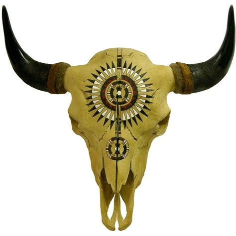 Buffalo Skull w. Hand Painted Black War Bonnet Design - Front View Deer ...