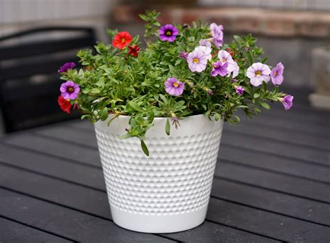 Mainstays Pottery 5" White Dot Ceramic Planter - Walmart.com