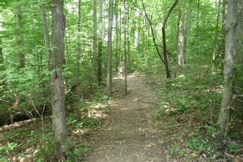 Hiking at Falls Lake – Get to Know a Park