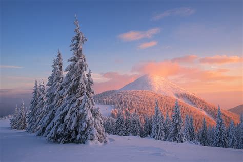 HD wallpaper: Carpathian Mountains, 4K, Snow, Pine trees, Winter, Sunset | Wallpaper Flare