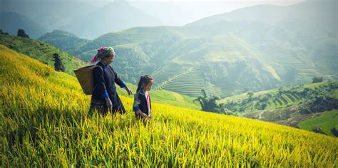 Cambodia's future landscape - In Focus