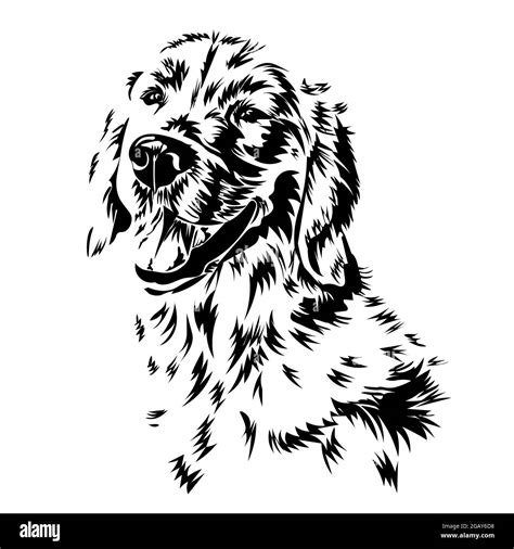 Labrador Retriever. Silhouette. Line art. smiling dog, black and white ...