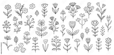 Flower doodle illustration including different field herbs. Hand drawn ...