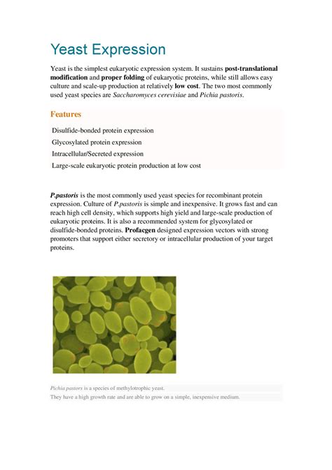 An Introduction For Yeast Expression - Docsity