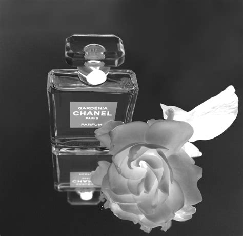 Gardénia Extrait de Parfum Chanel perfume - a fragrance for women and ...