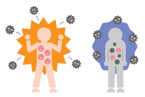 Study: Stress Accelerates Aging of the Immune System | USC Gerontology