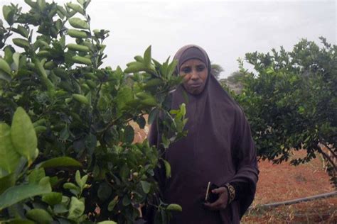 Rich Farm Kenya: Profitable Agribusiness Ideas in Fruit Farming: Habiba ...