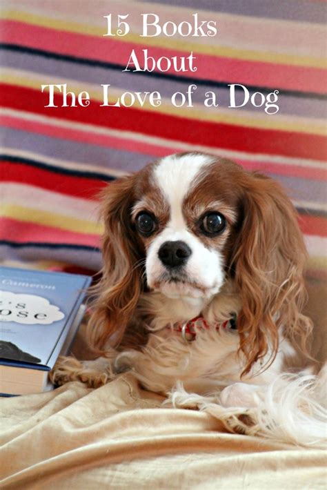 15 Books About The Love of a Dog - Two Little Cavaliers