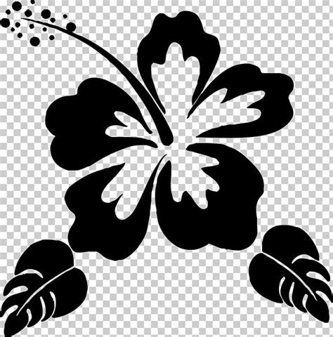 Silhouette Flower Stencil PNG - Free Download | Flower stencil, Flower pattern drawing, Hibiscus ...