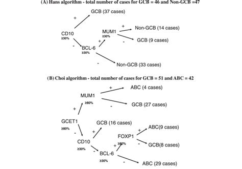 Hans' [15] and Choi's [14] algorithm in comparison. GCB, germinal ...