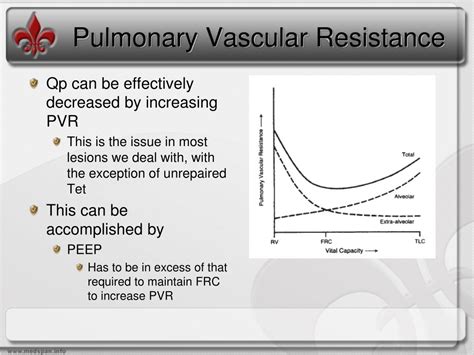 PPT - Parallel Circulation PowerPoint Presentation, free download - ID:2221371