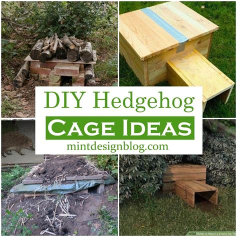 21 DIY Hedgehog Cage Ideas - Mint Design Blog