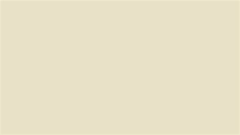 Pantone 12-0804 Tpx Cloud Cream Color | Hex color Code #E8E1C7 ...