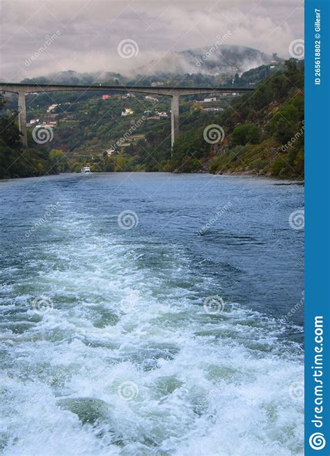 Bridge that Overlooks the Beautiful Douro River Stock Photo - Image of douro, portugal: 265618802