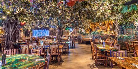 Galveston, TX | Hours + Location | Rainforest Cafe | Jungle-Themed Restaurant Chain Worldwide