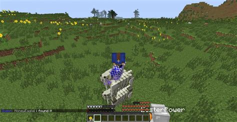 Skeleton horse riding Skeleton horse Minecraft Blog