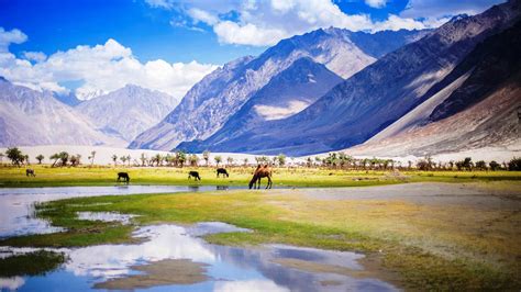 Nubra Valley - History, Things to Do, Location, Best Time to Visit | Adotrip