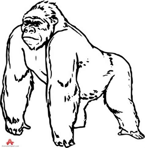 Download High Quality gorilla clipart outline Transparent PNG Images ...