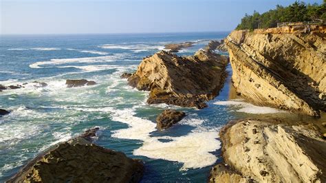 Shore Acres State Park in Coos Bay, Oregon | Expedia