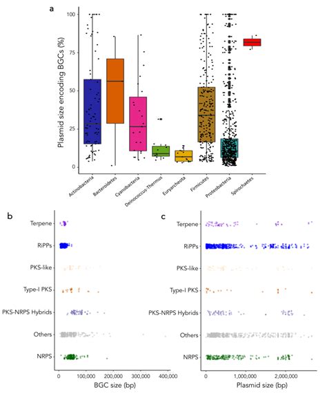 BGC content and coverage within prokaryotic plasmids. The length of ...