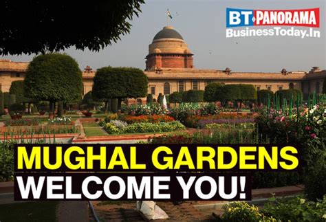 Rashtrapati Bhavan opens its Mughal Gardens to the public from Feb 13 - PANORAMA BusinessToday