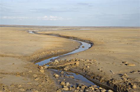 Brook in a deserted land