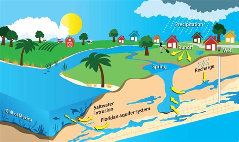 Water Springs Diagram