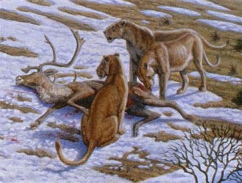 Life In Ice Age Europe: The Mammoth Journey | Prehistoric animals, Ice ...