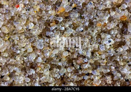 Soil profile - Podsol Stock Photo: 93437302 - Alamy