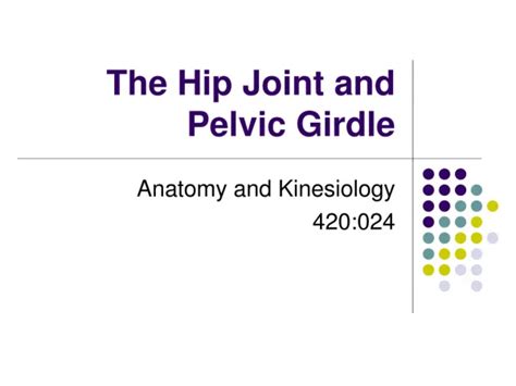 PPT - The Hip Joint and Pelvic Girdle PowerPoint Presentation, free ...