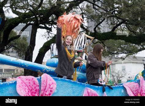 Mardi Gras parade in Mobile, Alabama Stock Photo - Alamy