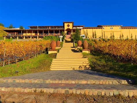 SANTA CRUZ WINERY | THE BORDEAUX WINE TOUR