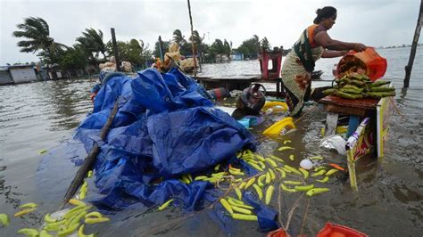 Cyclone | In pictures: Tamil Nadu hit by cyclone Mandous - Telegraph India