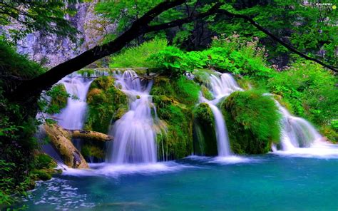 waterfall, trees, viewes, lake - For phone wallpapers: 1920x1200