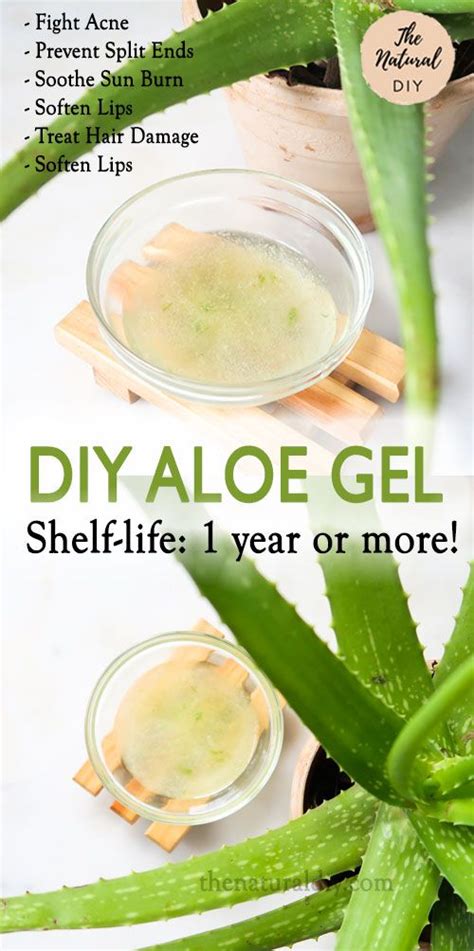 Aloe Vera Gel Shelf Life: How Long Does Unrefrigerated Aloe Vera Gel ...