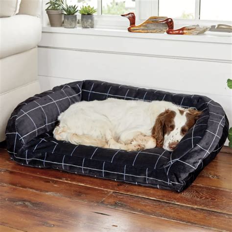 14 Best Tough Dog Beds for Chewers (With Guarantees!) - Hey, Djangles.