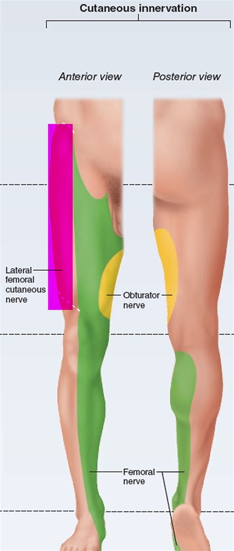 Meralgia Paresthetica - Causes, Symptoms, Pain Relief and Treatment