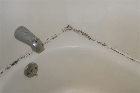 Using Vinegar To Eliminate Bathroom Mold | ShunShelter