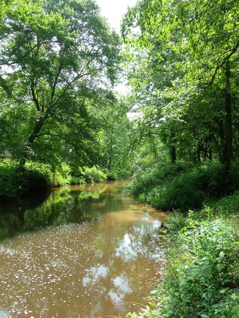 Holly Springs National Forest Located In MS | State parks, Country ...