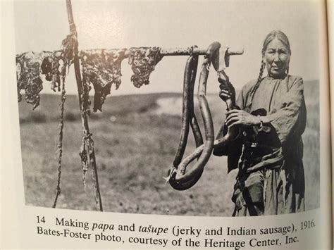 tasupe, the most likely recipe says the intestines were stuffed with Pemmican (dried meat, berri ...