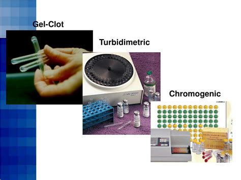 PPT - Limulus Amebocyte Lysate (LAL) Test Methods PowerPoint ...