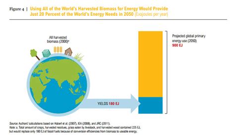 ‘Claims exaggerated’: Bioenergy challenges sustainable food future ...